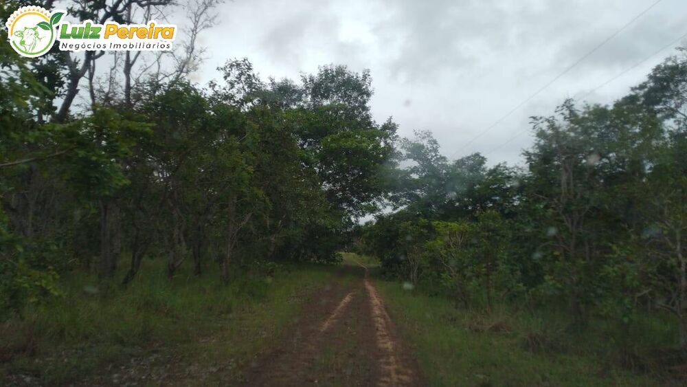 Terreno, 4026 m² - Foto 3