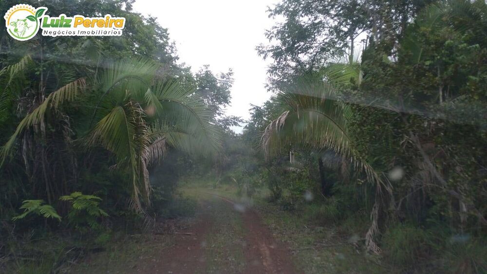 Terreno, 4026 m² - Foto 2