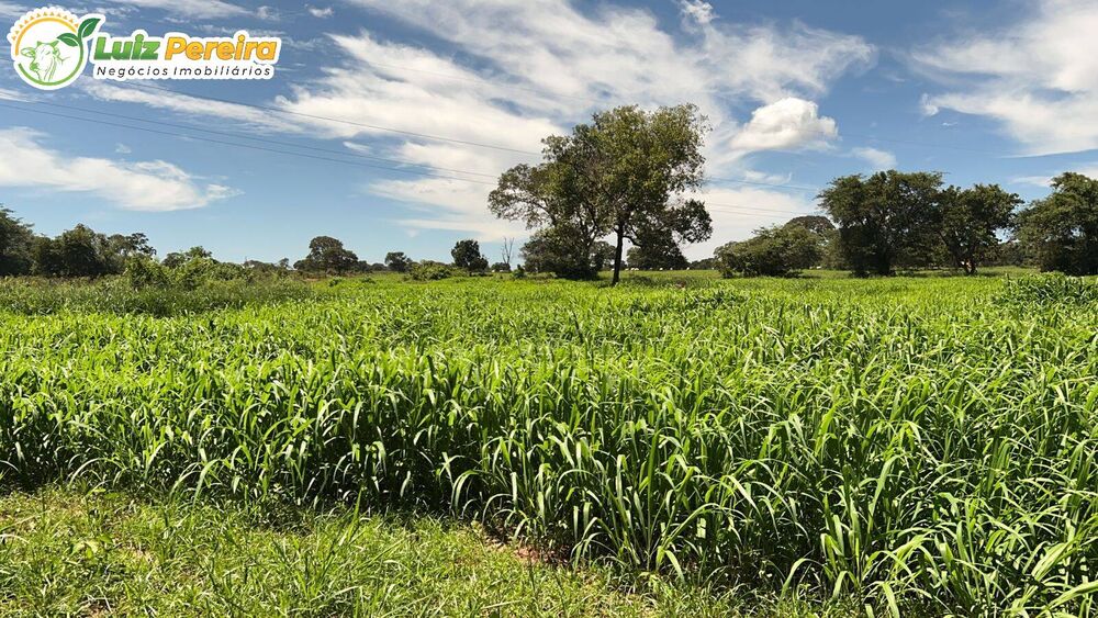 Terreno, 402 m² - Foto 1