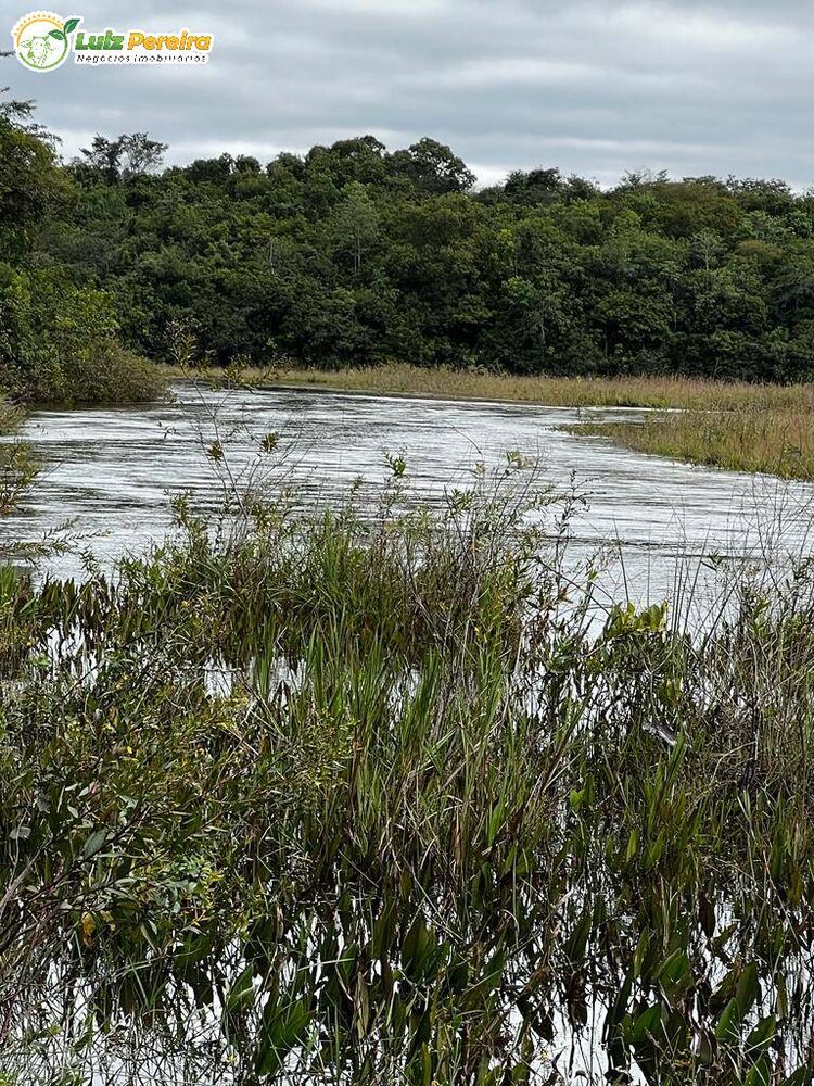 Terreno, 402 m² - Foto 6