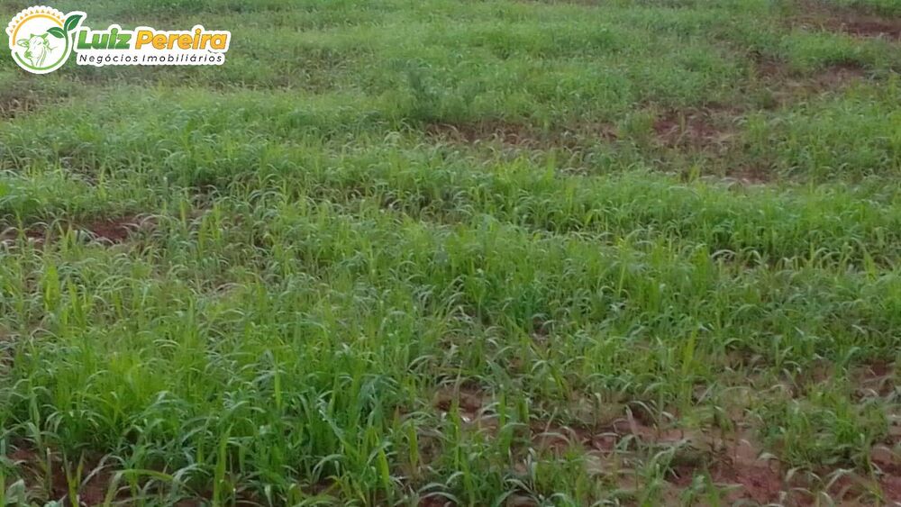 Terreno, 402 m² - Foto 3