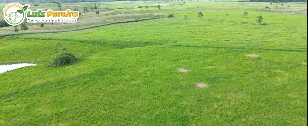 Terreno, 5000 m² - Foto 10