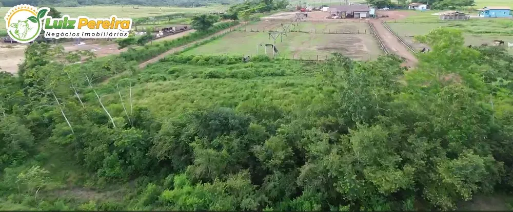 Terreno, 5000 m² - Foto 9