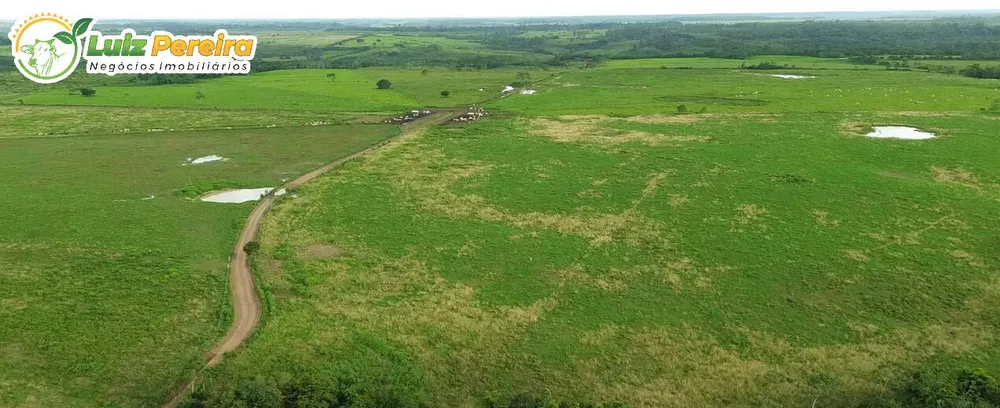 Terreno, 5000 m² - Foto 11
