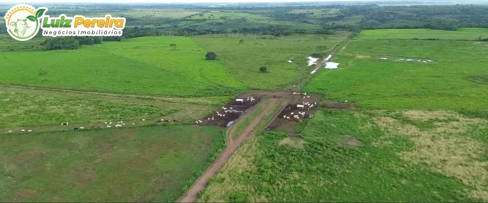 Terreno, 5000 m² - Foto 5