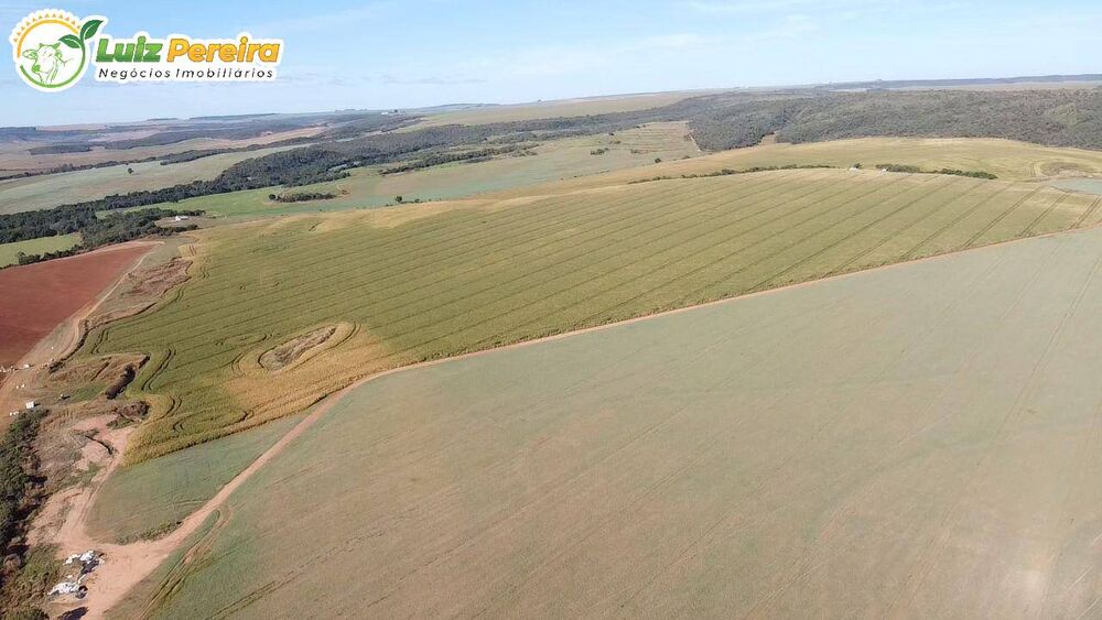 Terreno, 492 m² - Foto 3