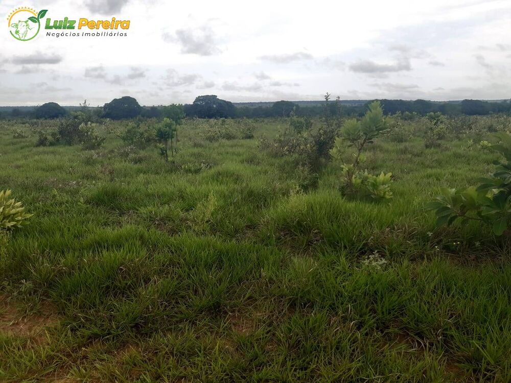 Terreno, 539 m² - Foto 1