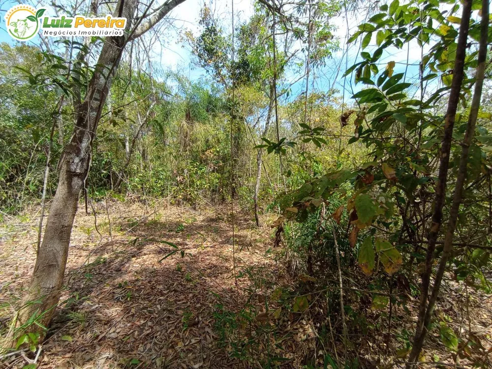 Terreno, 1292 m² - Foto 1
