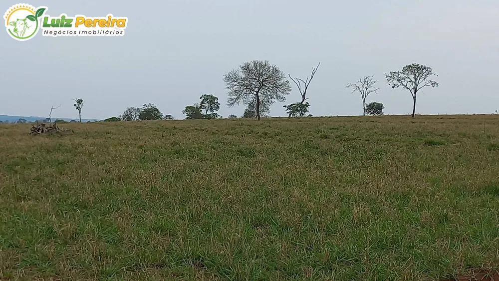 Terreno, 1921 hectares - Foto 3