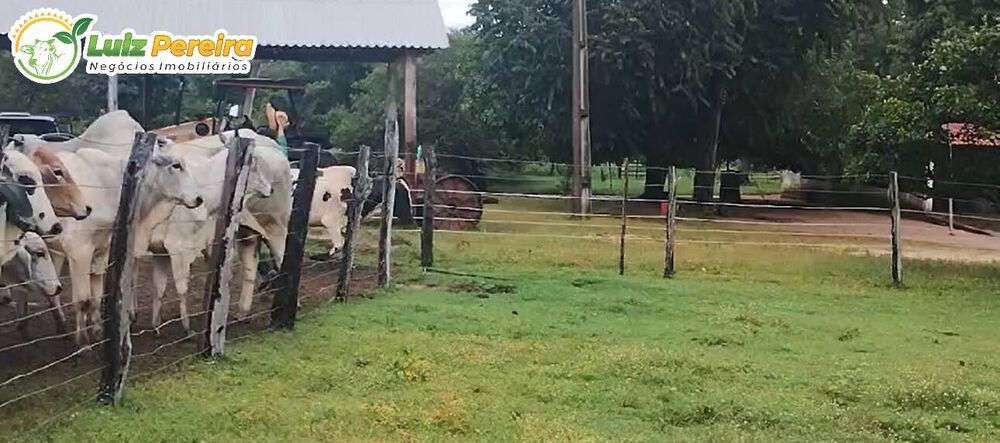 Terreno, 484 m² - Foto 3