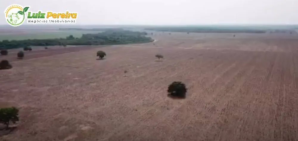 Terreno, 1936 hectares - Foto 6