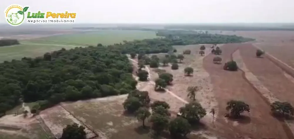 Terreno, 1936 hectares - Foto 1