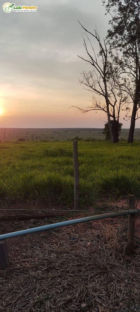 Terreno, 844 m² - Foto 2