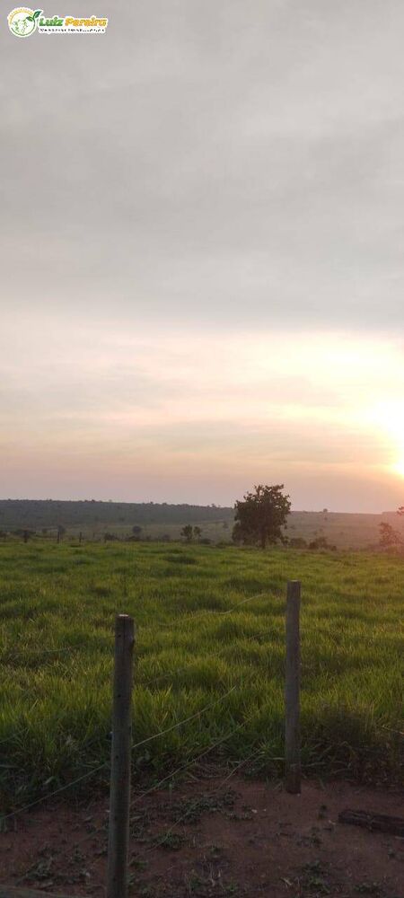 Terreno, 844 m² - Foto 4