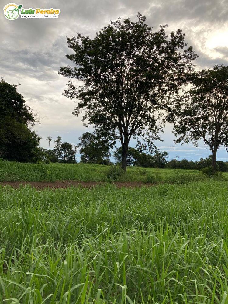 Terreno, 551 m² - Foto 3