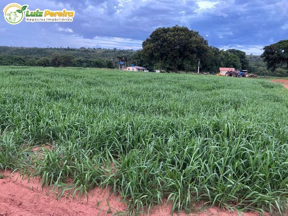 Terreno, 551 m² - Foto 4