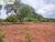 Terreno, 150 m² - Foto 1