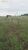 Terreno, 1210 hectares - Foto 2