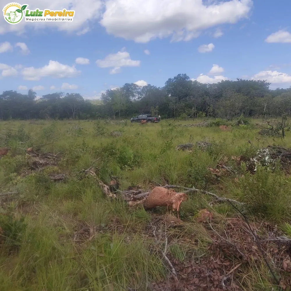 Terreno, 3872 hectares - Foto 3