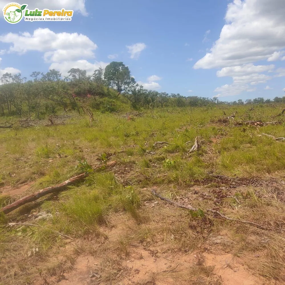 Terreno, 3872 hectares - Foto 1