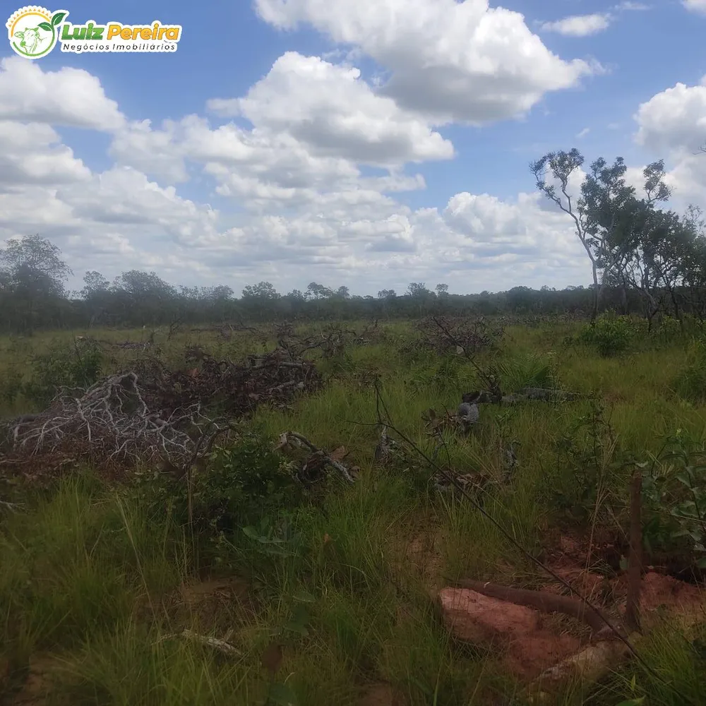 Terreno, 3872 hectares - Foto 4