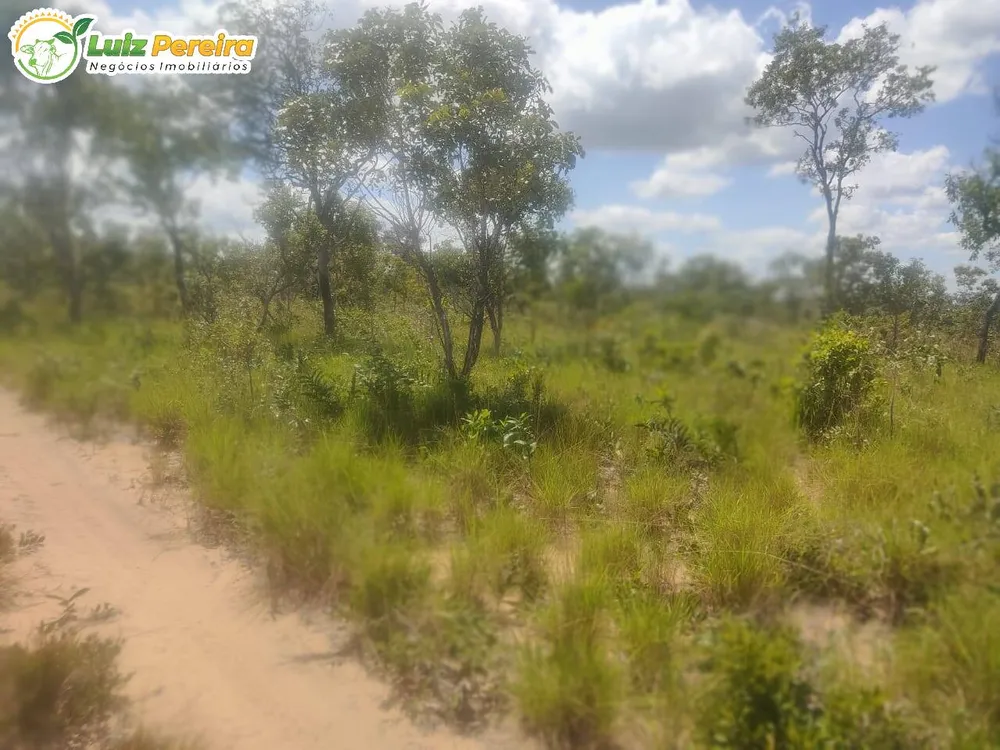 Terreno, 3872 hectares - Foto 10