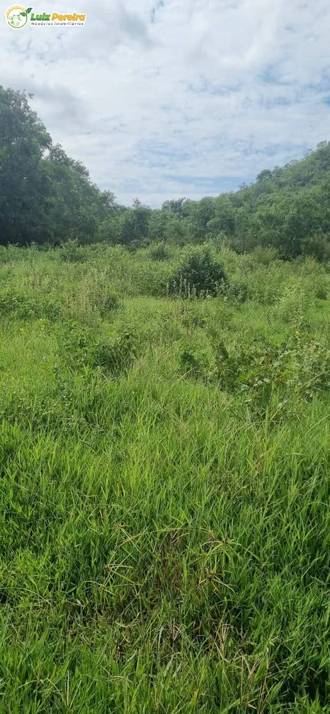 Terreno, 8760 m² - Foto 5