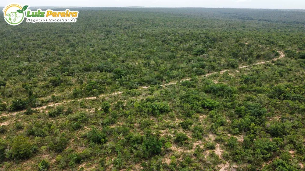 Terreno, 2579 m² - Foto 1