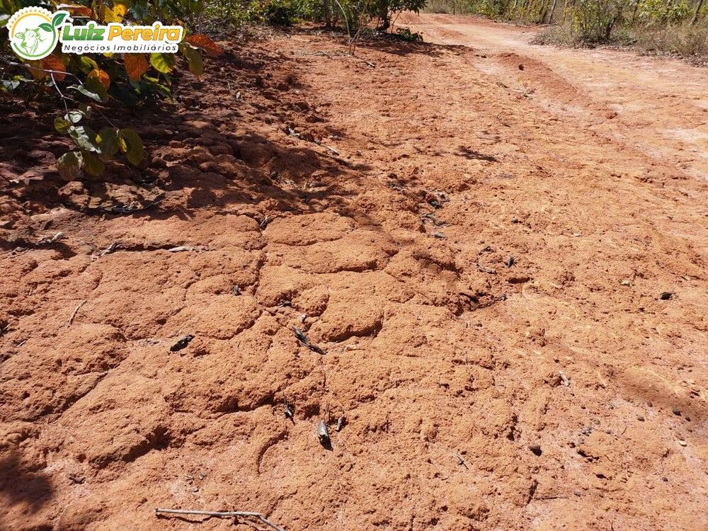 Terreno à venda, 82700000m² - Foto 4