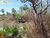 Terreno, 8270 hectares - Foto 1