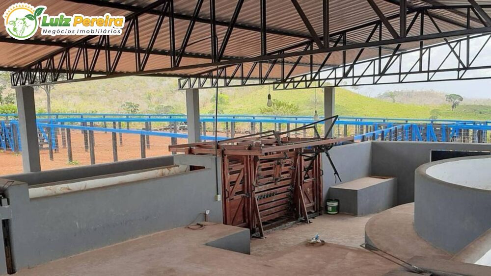 Terreno, 3000 m² - Foto 4