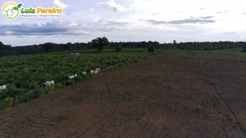 Terreno, 3000 m² - Foto 1