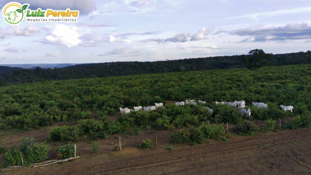 Terreno, 3000 m² - Foto 3