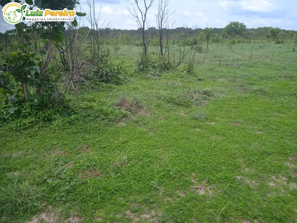Terreno, 977 m² - Foto 2