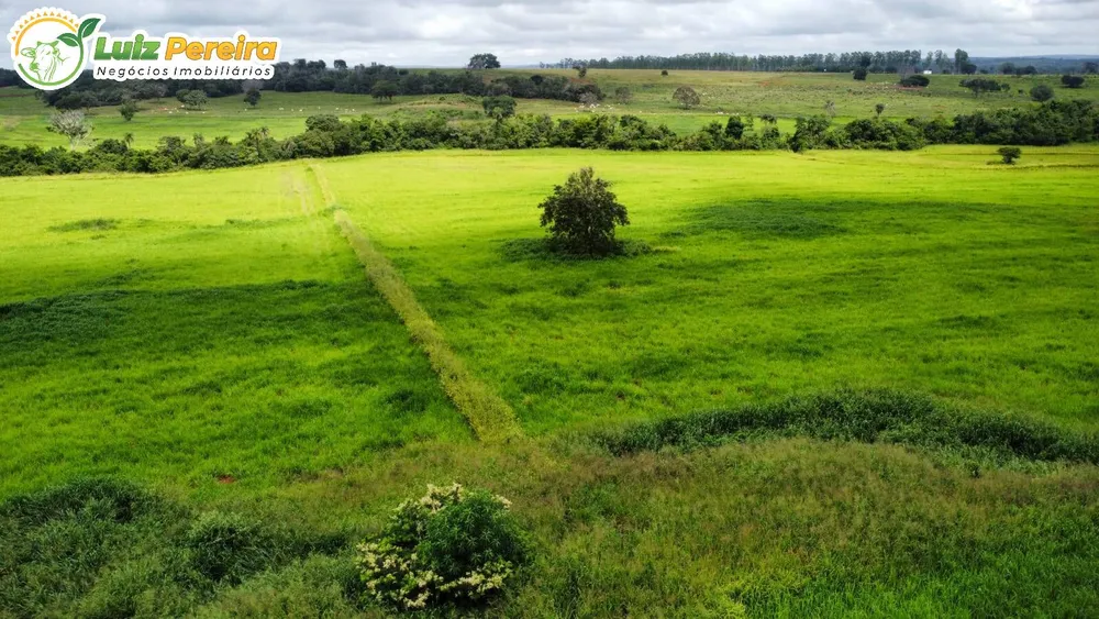Terreno, 1258 m² - Foto 6