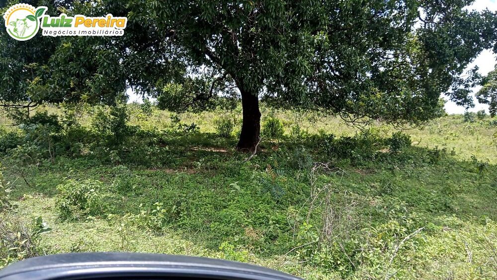 Terreno, 730 m² - Foto 1