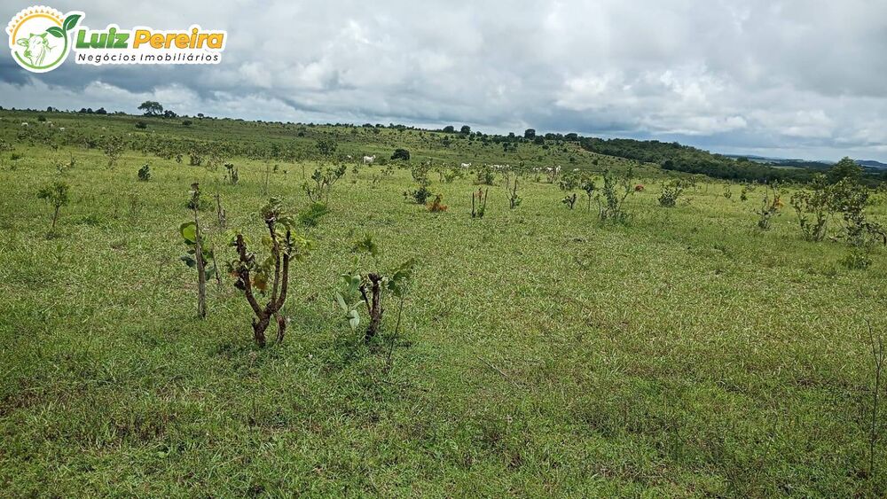 Terreno, 730 m² - Foto 4