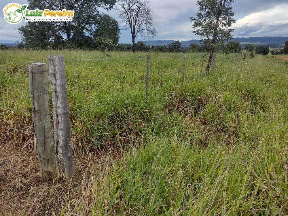 Terreno, 8733 m² - Foto 4