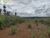 Terreno, 2600 hectares - Foto 1