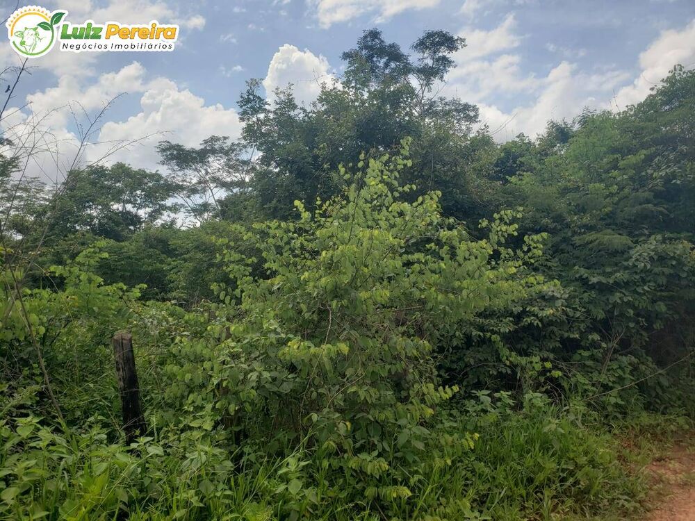 Terreno, 2084 m² - Foto 8