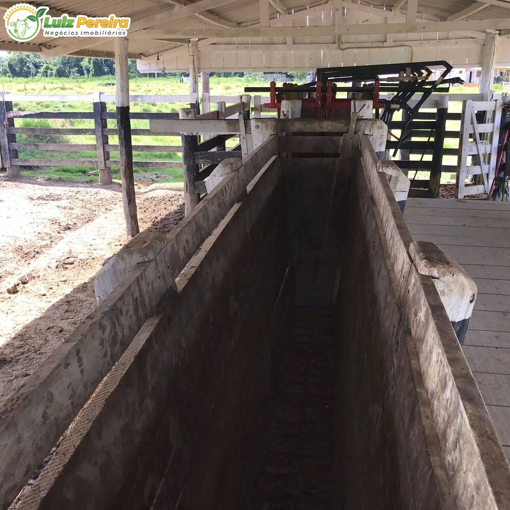 Terreno, 6630 hectares - Foto 14