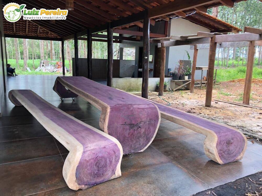 Terreno, 6630 hectares - Foto 12