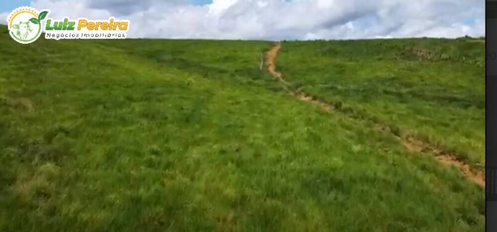 Terreno, 6630 hectares - Foto 7