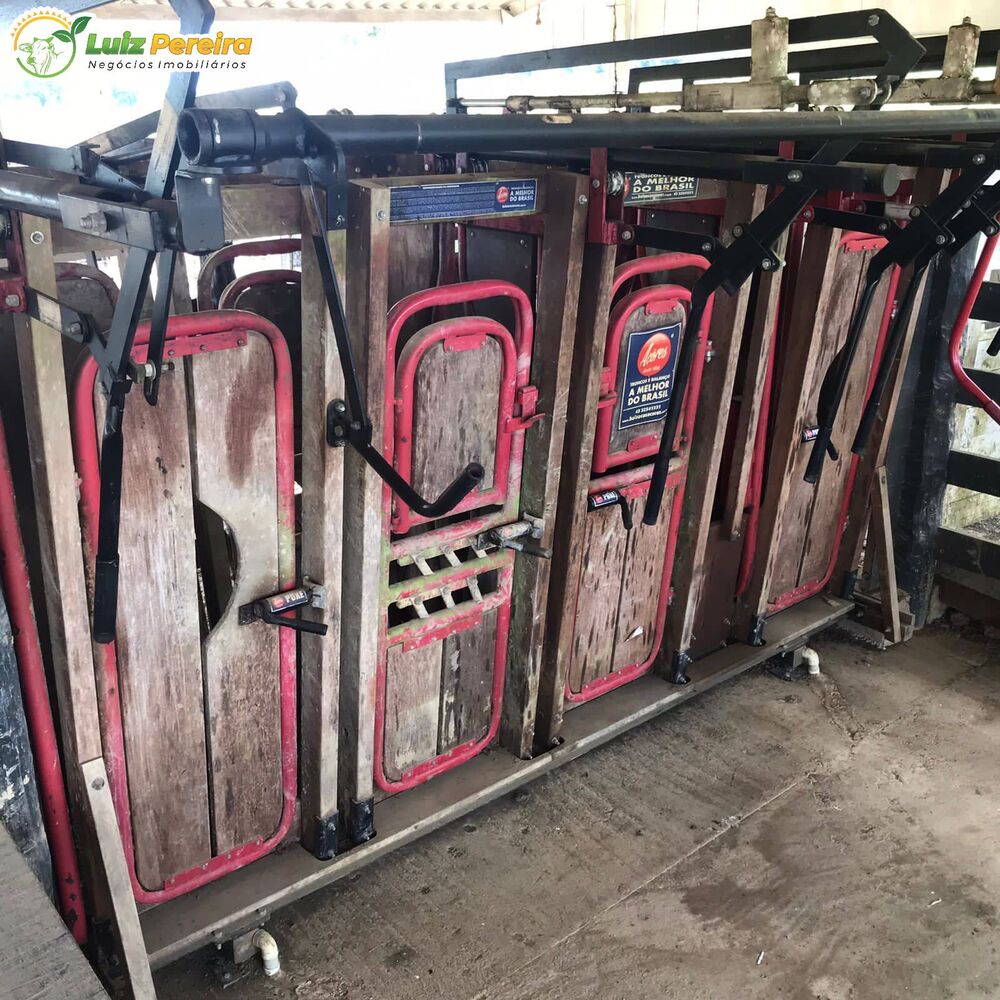 Terreno, 6630 hectares - Foto 13