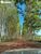 Terreno, 6630 hectares - Foto 4
