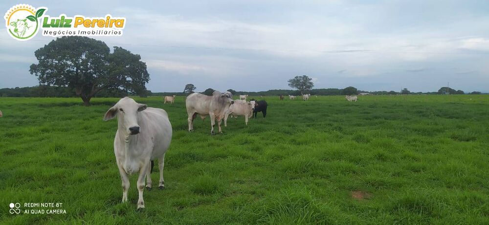 Terreno, 4530 m² - Foto 1