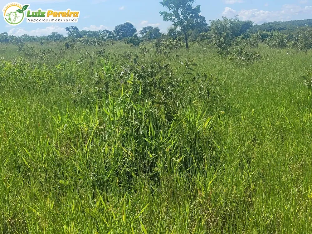 Terreno, 518 m² - Foto 11