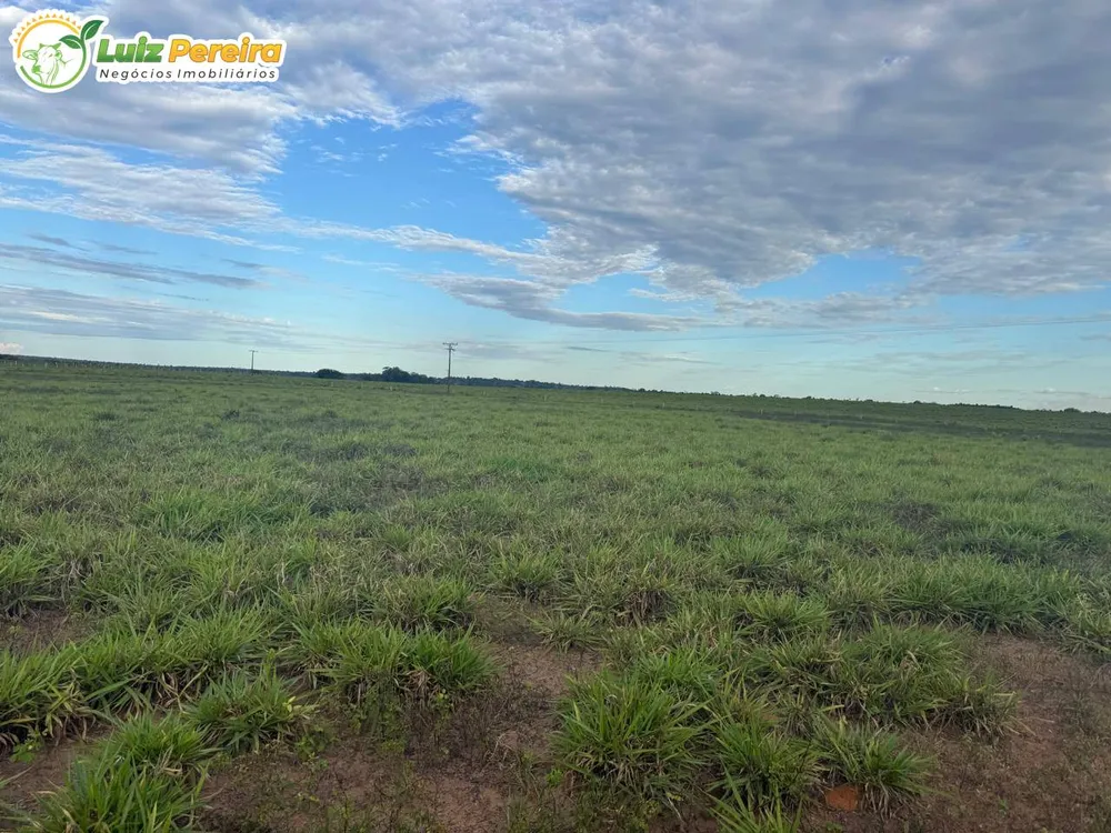 Terreno, 3891 m² - Foto 6