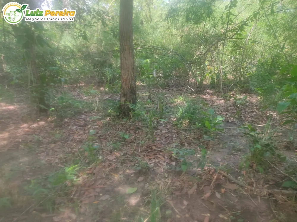 Terreno, 324 m² - Foto 8