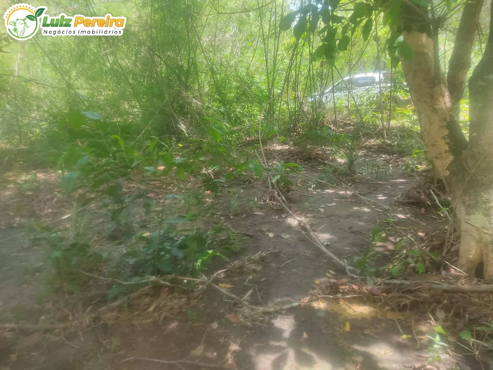 Terreno, 324 m² - Foto 1